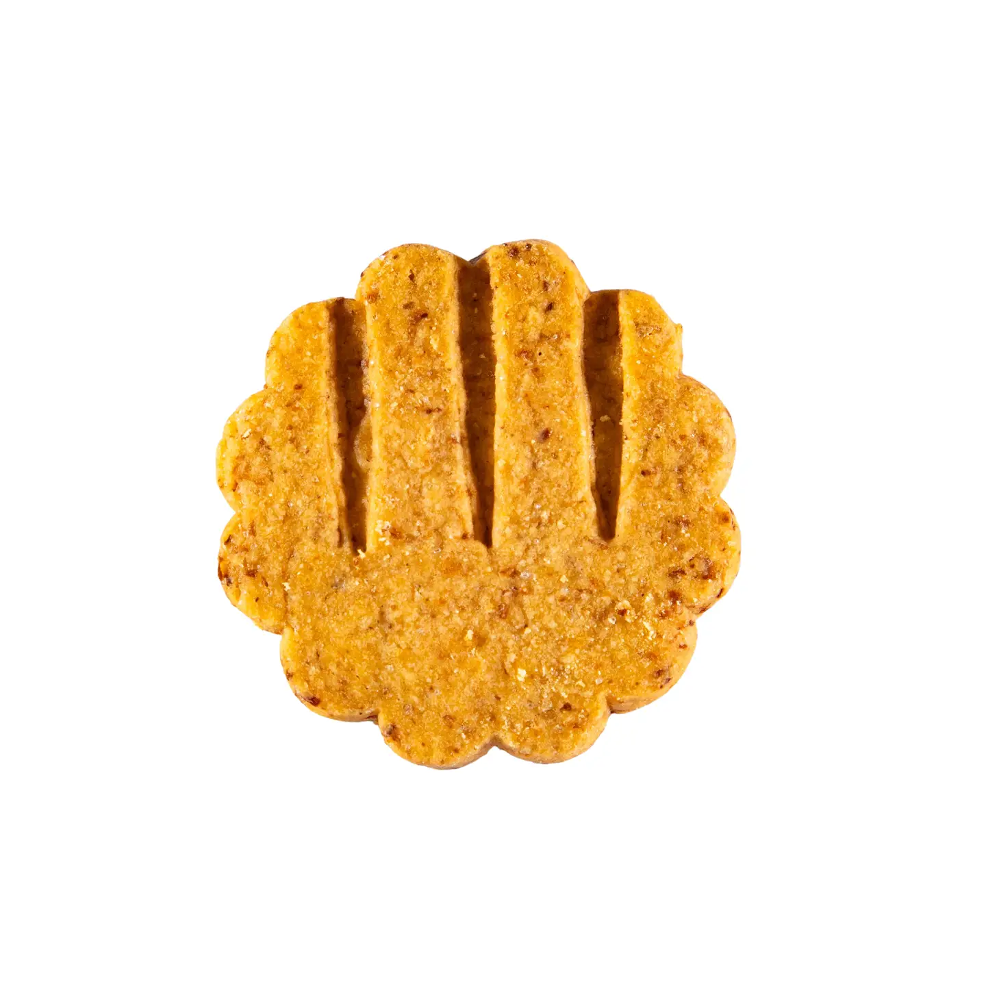 apéritif salé oignon paprika